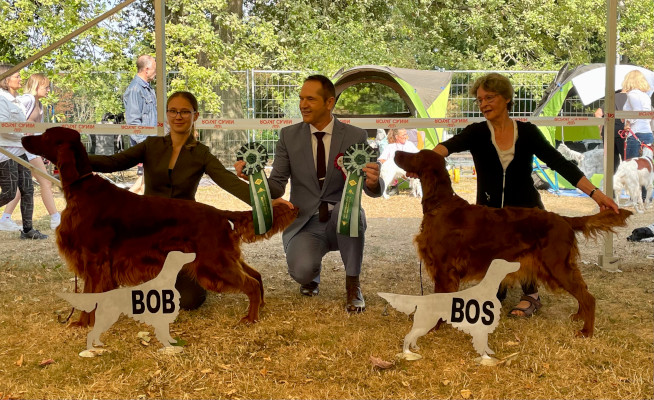 CACIB_Ludwigshafen_BOB_BOS_IS.jpg