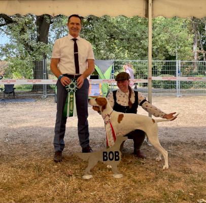 CACIB_Ludwigshafen_BOB_Pointer.jpg