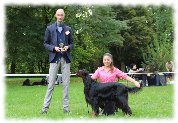 BOB Gorden Setter